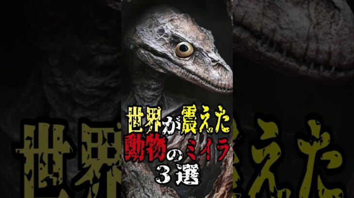 世界が震えた動物のミイラ３選【都市伝説/ミステリー】 #都市伝説 #ホラー #horror  #予言  #怖い話