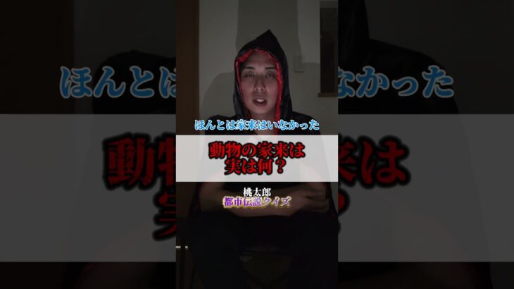【都市伝説クイズ】桃太郎怖すぎない？#shorts