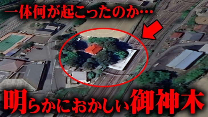 実際にあった御神木にまつわる祟りがヤバすぎる…【 都市伝説 御神木 神 祟り 】