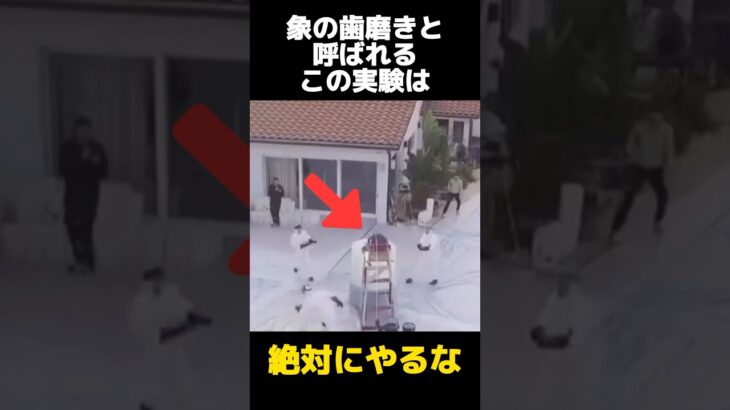 絶対にやってはいけない実験の都市伝説に関する雑学