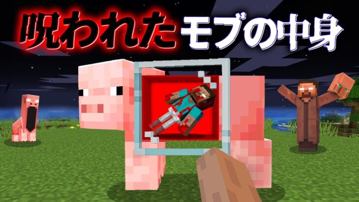 “モブの中身”の『マイクラ都市伝説』を検証した結果・・【まいくら,マインクラフト,解説,都市伝説】