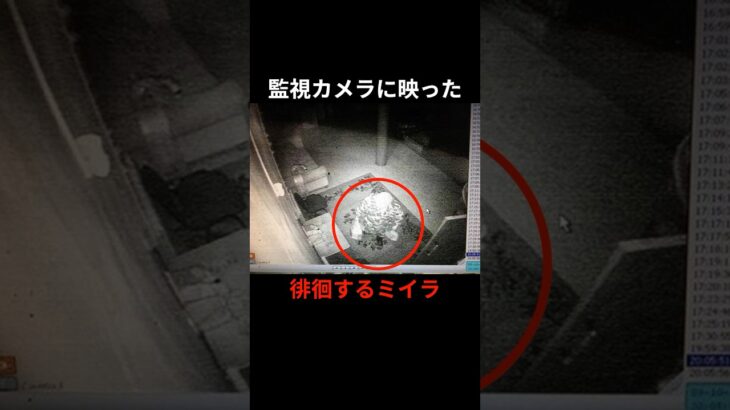 徘徊するミイラが監視カメラに映った #都市伝説 #雑学
