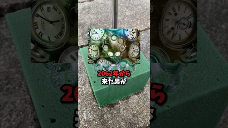 【都市伝説】2062年から来た未来人の予言 #都市伝説 #ミステリー #オカルト #予言 #タイムスリップ