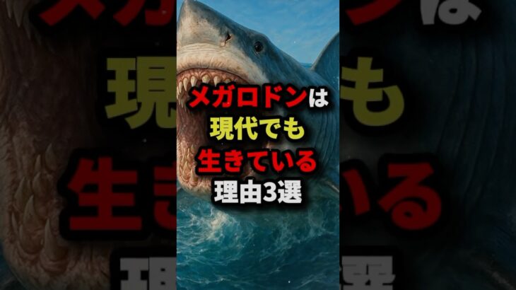 メガロドンは現代でも生きている理由3選【特に最後は怖すぎる】　#都市伝説