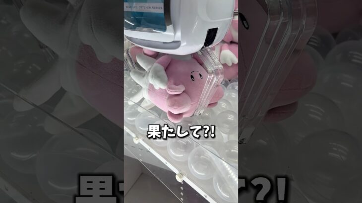 2024年 【UFOキャッチャー】ハピナスチャレンジ!!