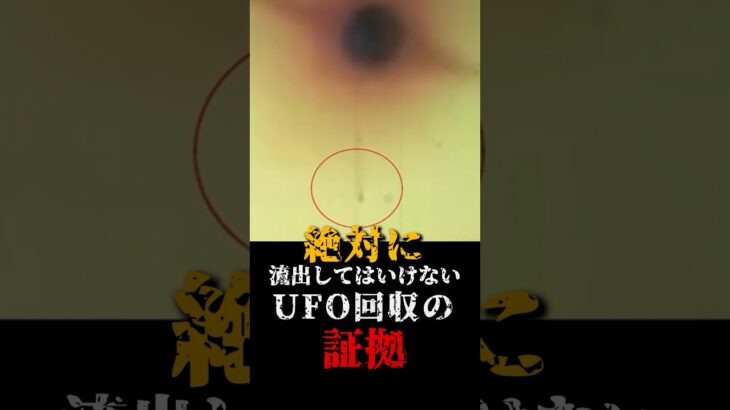 2024年 絶対に流出してはいけない、UFO回収の証拠