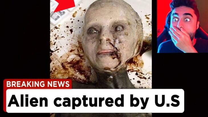 2024年 Watch Before it’s TAKEN DOWN ‼️😵 – Aliens, UFO, Mars Life, Vetted, Creepy TikToks & Scary Tiktoks