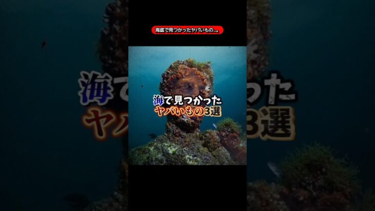 海底で見つかったヤバいもの…。【雑学】【ミステリー】【ホラー】【怖い話】【雑談】【オカルト】【都市伝説】【バズれ】【horror】【mystery】【occult】