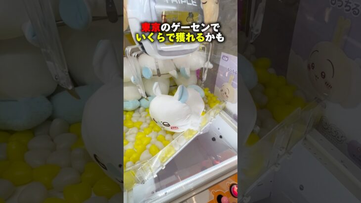 2024年 東京のゲーセンで大波乱 #shorts #クレーンゲーム #ufoキャッチャー #cranegame #ぬいぐるみ
