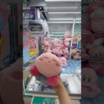 2024年 可愛いぬいぐるみを取ろうとしたら… #クレーンゲーム #ufoキャッチャー #ゲームセンター #ぬいぐるみ