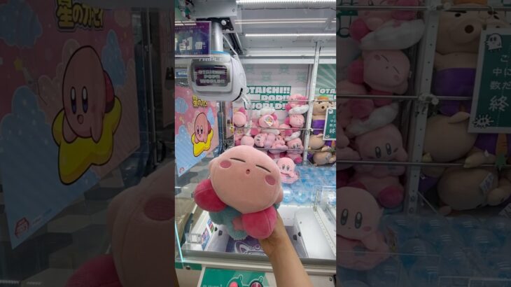 2024年 可愛いぬいぐるみを取ろうとしたら… #クレーンゲーム #ufoキャッチャー #ゲームセンター #ぬいぐるみ