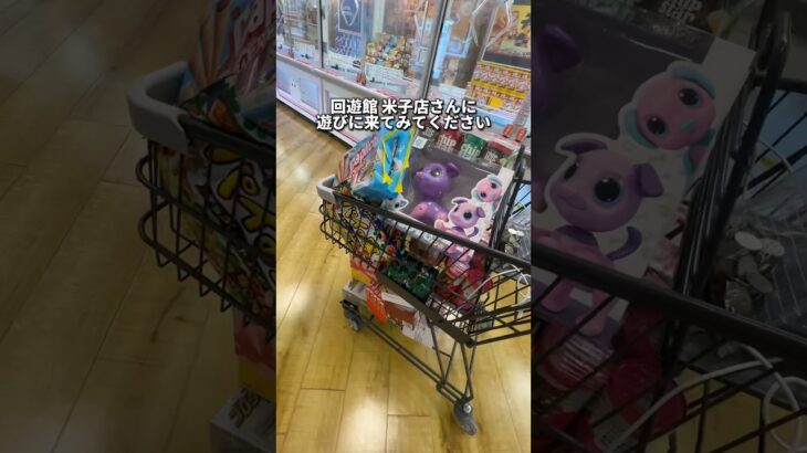 2024年 ガチでやばいゲームセンター見つけた　#クレーンゲーム #ゲームセンター #ufoキャッチャー