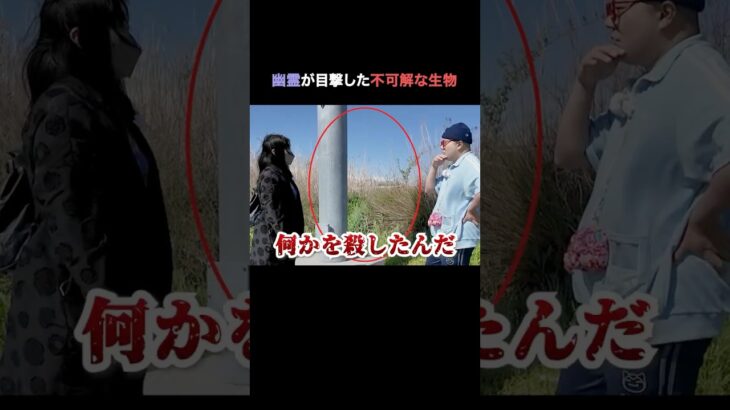 オカルトマニア幽霊が見かけた不思議な生物(?)