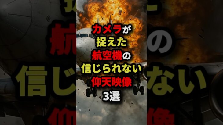 カメラが捉えた航空機の信じられない仰天映像3選　#都市伝説