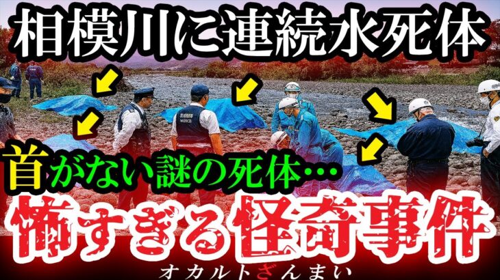 【怖い話】[異常事態]テレビで報道されない恐怖の真相…相模川で正体不明の水●体が連続発見された怪奇事件5選【ゆっくり解説】