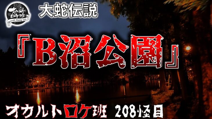 大蛇伝説　埼玉県『B沼公園』オカルトロケ班208怪目