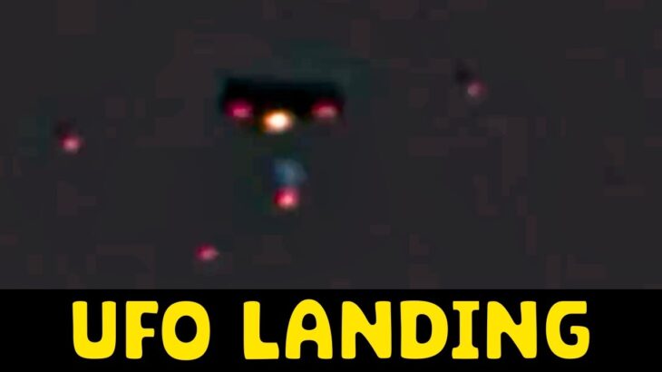 2024年 Did a UFO Land in the Forest?!