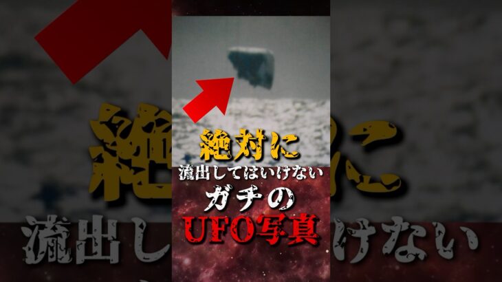 2024年 絶対に流出してはいけない、ガチのUFO写真