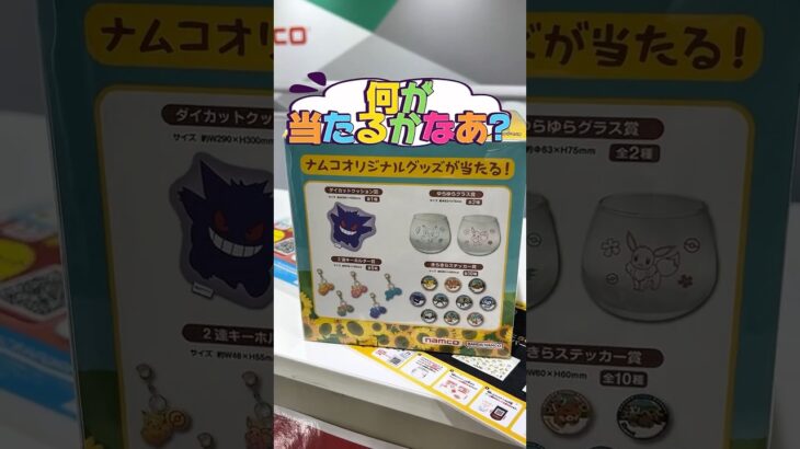 2024年 【激アツ!!】ポケモンキャンペーンin ナムコ UFOキャッチャー!!
