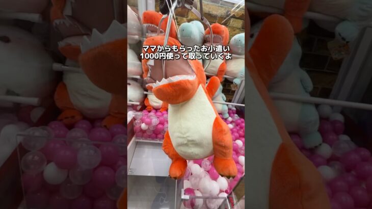 2024年 泣き虫の妹にぬいぐるみプレゼント！　#クレーンゲーム #ゲームセンター #ufoキャッチャー