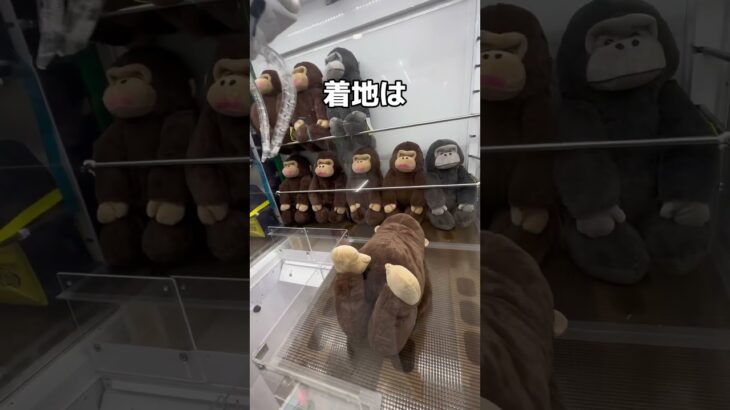 2024年 #クレーンゲーム #ufoキャッチャー #shorts #short #shortvideo #shortsfeed  #ROUND1 #ﾍﾞﾈｸｽ #クレゲ #フィギュア #ぬいぐるみ #ゲーム