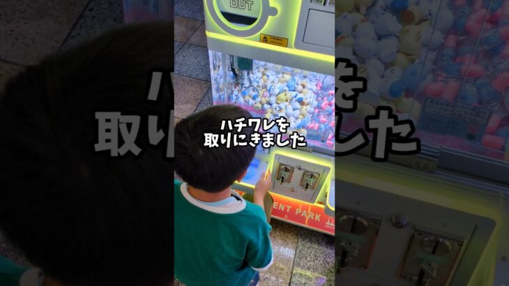 2024年 【クレーンゲーム】少年がufoキャッチャーでハチワレをゲット!? #ufoキャッチャー #shorts #クレーンゲーム #ちいかわ
