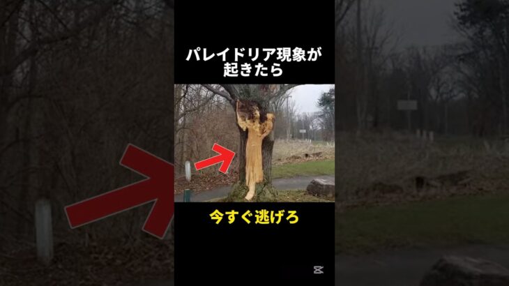 パレイドリア現象に関する都市伝説 #怖い #都市伝説