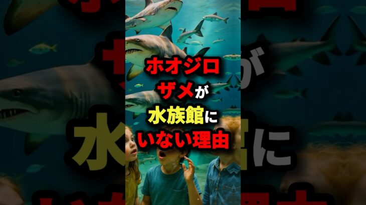 ホオジロザメが水族館にいない理由　#都市伝説