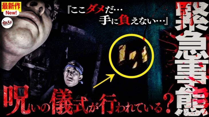 【心霊】緊急事態 呪いの儀式に遭遇… 過去最悪の事態で〇〇に狙われた…【トウマ】
