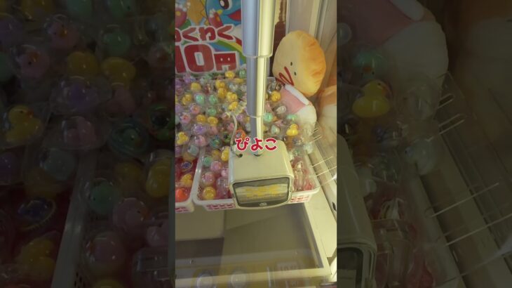 2024年 10円キャッチャー #ゲーセン #ufoキャッチャー