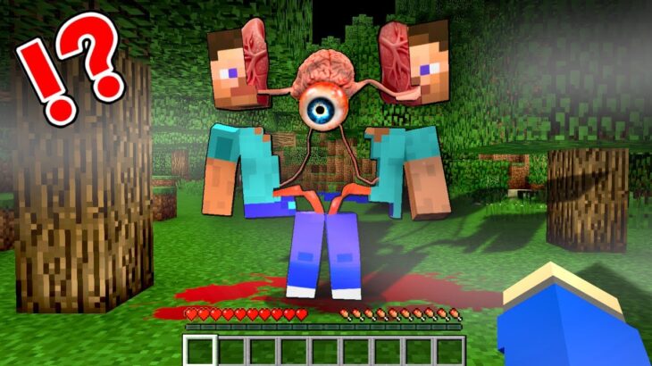マイクラ都市伝説のスティーブが住む島で100日サバイバル⁉️😱【マイクラ マインクラフト】ぽっぴんず