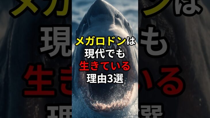 メガロドンは現代でも生きている理由3選#都市伝説#雑学 #shorts