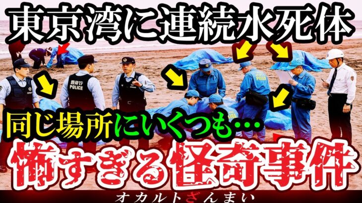 【怖い話】[非常事態]テレビが報道しない…東京湾沿岸で身元不明の水●体が連続発見された怖すぎる怪奇事件5選を考察【ゆっくり解説】