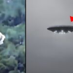2024年 Real UFO Sightings 2025 Must Watch