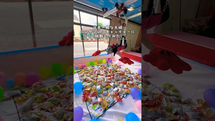 2024年 【お菓子取り放題】ニンゲンUFOキャッチャーで遊んでみた！