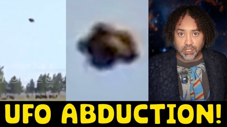 2024年 👽 UFO Caught on Camera: Cow Abduction, France Sighting & Night Vision UFOs | 2025 UFO Footage