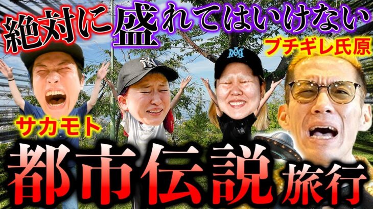 2024年 【衝撃映像】UFO呼んだら宇宙人に遭遇…【GGチャンネル】