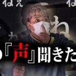【心霊】この映像で「あるもの」を見つけたらヤバい…その真実、見てみたい？聞いたら逃げられない「声」の正体とは【視聴者が見つけた心霊現像】【nosh】
