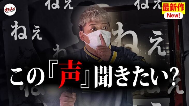 【心霊】この映像で「あるもの」を見つけたらヤバい…その真実、見てみたい？聞いたら逃げられない「声」の正体とは【視聴者が見つけた心霊現像】【nosh】