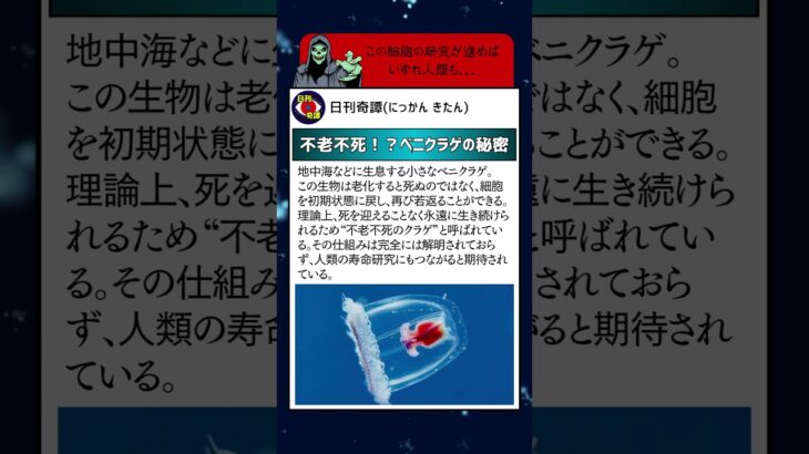 【不老不死！？】ベニクラゲの生態 #オカルト  #スピリチュアル  #ミステリー  #都市伝説  #衝撃  #shorts