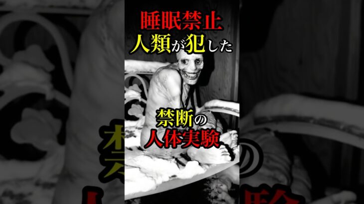 【人体実験】睡眠禁止の人体実験 #都市伝説 #雑学 #オカルト #恐怖 #怖い話 #歴史 #ホラー #shorts