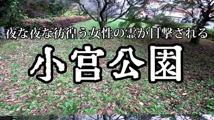 #心霊スポット #オカルト #ホラー 【心霊スポット】夜な夜な彷徨う女性の霊が目撃される 小宮公園
