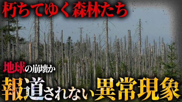 一体なぜ、報じられなくなった異常現象がヤバすぎる【 都市伝説 滅亡 酸性雨 】