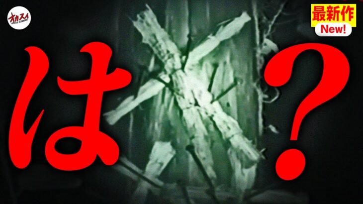 【藁人形】この場所に行くと呪いの儀式をしてる人に出会えます。 ※夜は決して近づかないでください