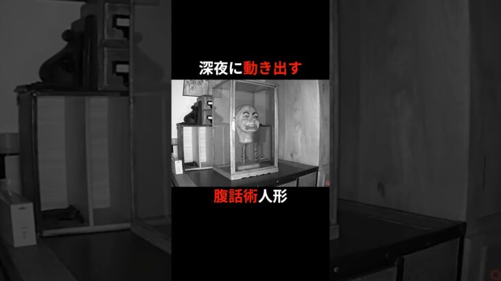 深夜に動き出す人形 #都市伝説 #雑学 #怖い話
