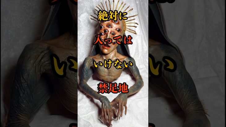 山の禁足地 #怖い話 #都市伝説 #怪談