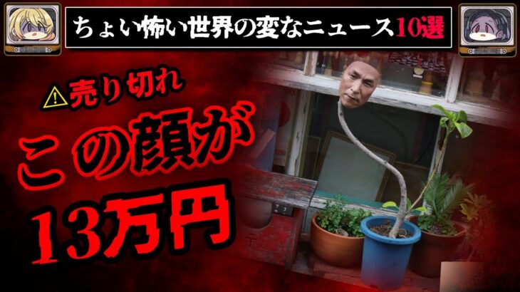 【顔を売る】全て事実、この世界の奇妙なニュース10選【ゆっくり解説/怖い話/都市伝説】