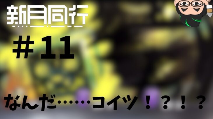 【新月同行】オカルトを解き明かせ！#11【FellowMoon】