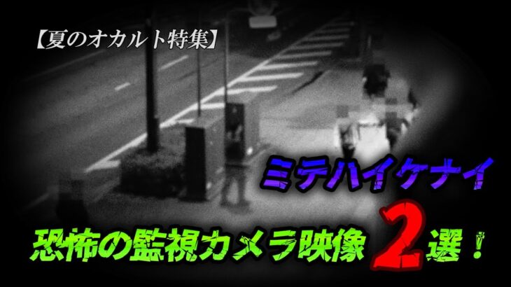 【夏のオカルト特集】ミテハイケナイ　恐怖の監視カメラ映像2選！