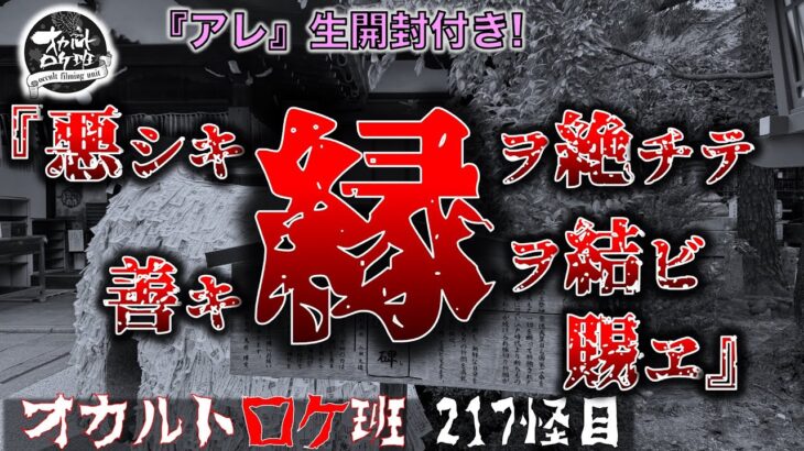 『縁切り神社参拝』オカルトロケ班217怪目